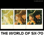 Click to download The World of Polaroid SX-70 guide.