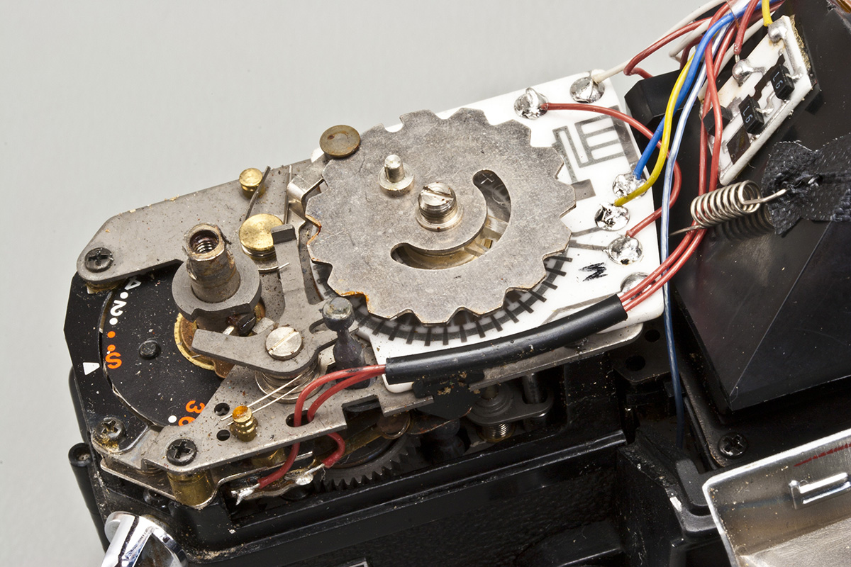 Close-up right hand side.