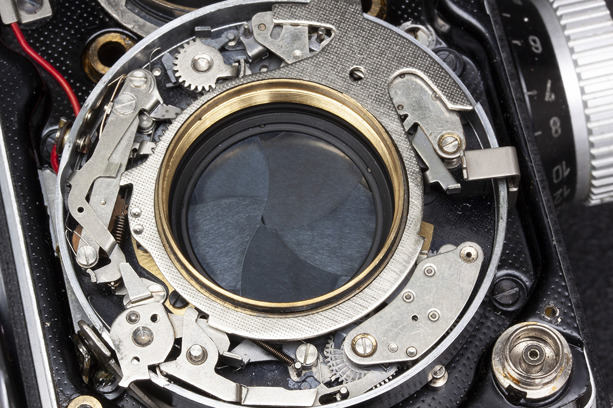Close-up shutter. A small amount of moly grease can be applied to the main cocking ring.
